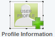 The profile information block